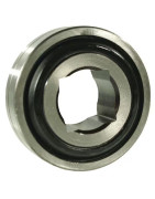 Diskinio skutiko guoliai