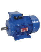 Elektros varikliai ir valdikliai