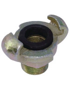 Standartinė versija