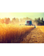 Grūdų sandeliavimas