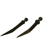 Akėčių noragai - dantys