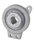 Švaistiklių guoliai