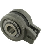 Laisvosios eigos sankabos