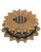 Žvaigždutės (krumpliaračiai)